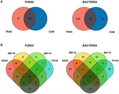 Exploring the impact of plant genotype and fungicide treatment on endophytic communities in tomato stems